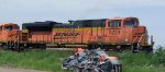 BNSF 9229